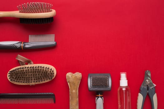Pet accessories on red background. Top view. Still life. Copy space