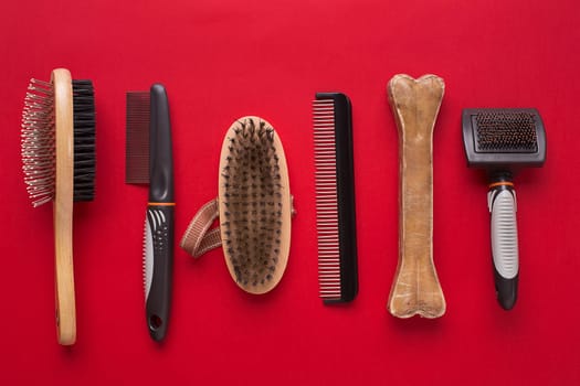 Pet accessories on red background. Top view. Still life. Copy space