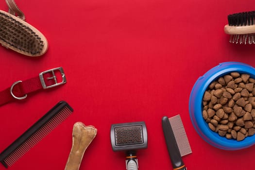Pet accessories on red background. Top view. Still life. Copy space