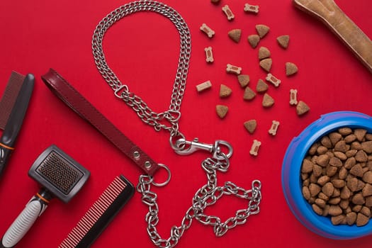 Pet accessories on red background. Top view. Still life. Copy space