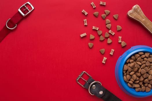 Pet accessories on red background. Top view. Still life. Copy space
