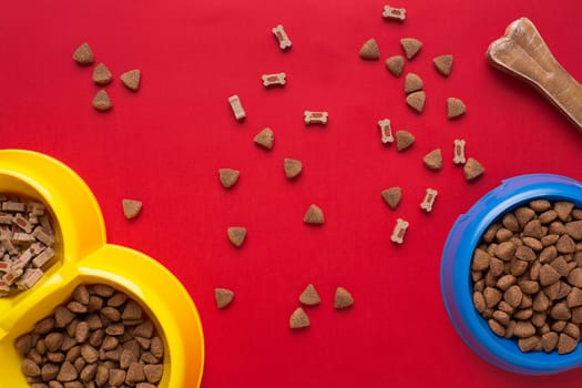 Pet accessories on red background. Top view. Still life. Copy space