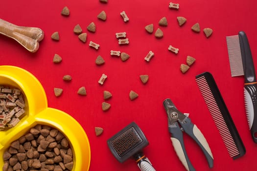 Pet accessories on red background. Top view. Still life. Copy space