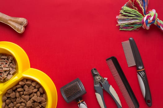 Pet accessories on red background. Top view. Still life. Copy space