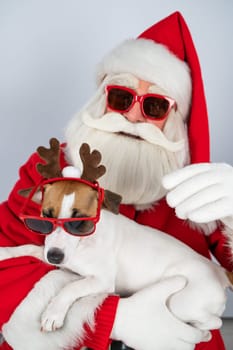 Portrait of santa claus in sunglasses and dog jack russell terrier in rudolf reindeer ears on a white background