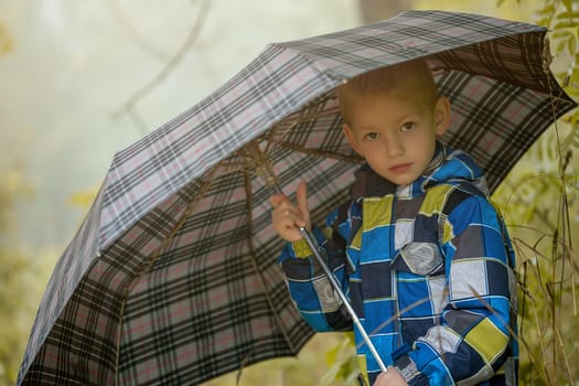 Image of pretty little boy posing under umbrella, close-up