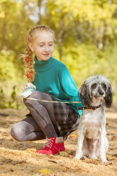 Image of lovely girl walking with dog in autumn park