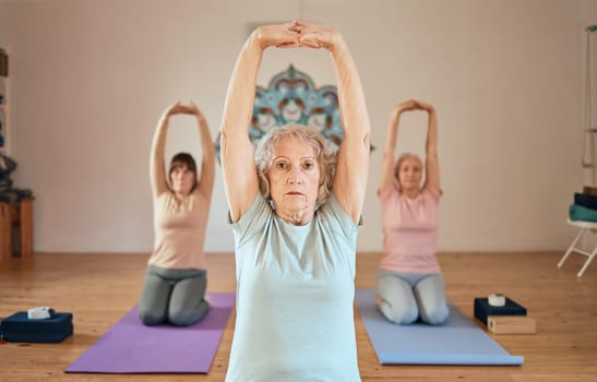 yoga, stretching and elderly women class for fitness, healthcare motivation and body wellness in health studio. Zen meditation, chakra energy and senior people stretch arms for exercise training.