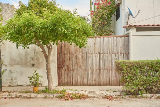 wooden gate and green bushes and tree