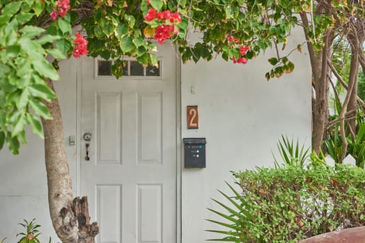 entrance door with number two and shrubs