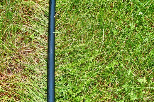 a flexible tube conveying water, used chiefly for watering plants and in firefighting.