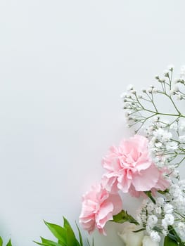 Close up photo of a bouquet of pink and white carnations isolated on a white background. With empty space for text or inscription. For postcard, advertisement or website.