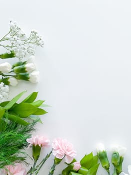 Close up photo of a bouquet of pink and white carnations isolated on a white background. With empty space for text or inscription. For postcard, advertisement or website.