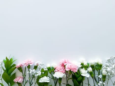 Close up photo of a bouquet of pink and white carnations isolated on a white background. With empty space for text or inscription. For postcard, advertisement or website.