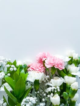 Close up photo of a bouquet of pink and white carnations isolated on a white background. With empty space for text or inscription. For postcard, advertisement or website.