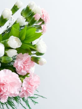 Close up photo of a bouquet of pink and white carnations isolated on a white background. With empty space for text or inscription. For postcard, advertisement or website.