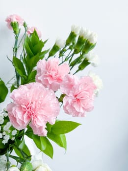 Close up photo of a bouquet of pink carnations isolated on a white background. Dew drops on flowers