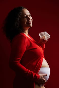Vertical closeup beauty portrait of dark haired curly brunette, charming ethnic pregnant woman, smiling looking aside while gently stroking her belly, isolated over red background. Pregnancy fashion