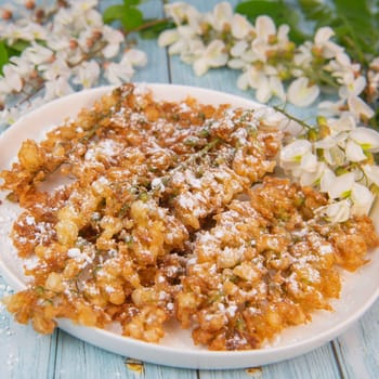 Acacia flowers fritters, Blossoming acacia with leafs, , Robinia pseudoacacia, White acacia, High quality photo