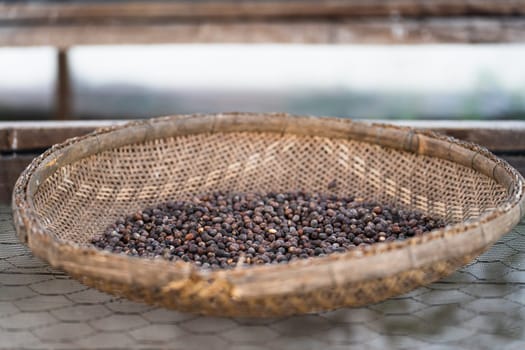 Close-up view of a carefully harvested basket of fresh organic coffee berries drying to perfection in a beautiful processing station with a blurred background, ideal for food and agriculture content.