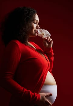 Closeup side portrait of beautiful multi-ethnic pregnant woman, expectant mother smelling white orchid flower, posing bare belly and eyes closed over isolated red background. Pregnancy. Maternity.