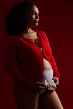 Latin American ethnic woman, dark-haired expectant mother wearing red shirt, holding a white orchid flower over her pregnant belly, looking dreamily aside, isolated on red background. Happy pregnancy