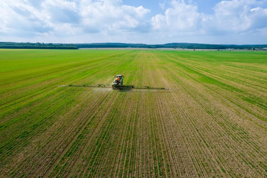 Spraying a green field, a tractor with a sprayer treats the field with fertilizer. Protection of grain crops from pests.