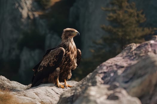 A steppe eagle is sitting on a mountain cliff. Generative artificial intelligence.