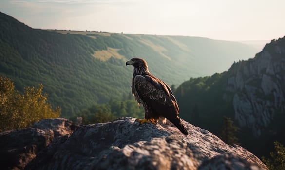 A steppe eagle is sitting on a mountain cliff. Generative artificial intelligence.