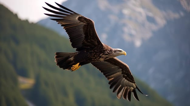 Eagle flying over mountains, huge wingspan. Generative AI.