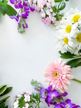 japanese dianthus, gerbera, chamomile, matthiola and laurel leaves. floral frame with empty space for text or inscription. spring postcard