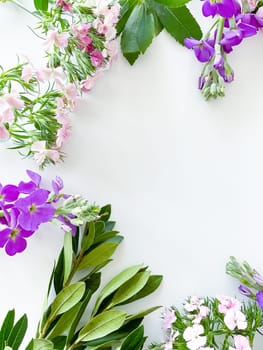 japanese dianthus, gerbera, chamomile, matthiola and laurel leaves. floral frame with empty space for text or inscription. spring postcard