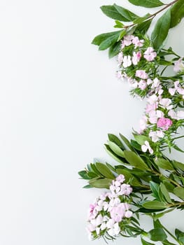 dianthus japonica and laurel leaves. floral frame with empty space for text or inscription. spring postcard