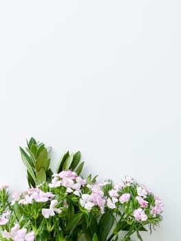 dianthus japonica and laurel leaves. floral frame with empty space for text or inscription. spring postcard