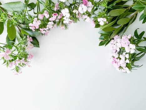 dianthus japonica and laurel leaves. floral frame with empty space for text or inscription. spring postcard