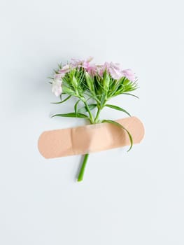 Pink flower with plaster. Conceptual image of treatment, illness, healing