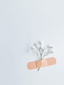 adhesive plaster on the white wall background holding dry field flower,concept,remember me,patch