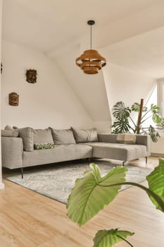 a living room with wood flooring and white walls there is a large plant in the center of the room