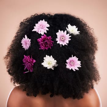 Back, hair care and beauty of black woman with flowers in studio isolated on a brown background. Curly hairstyle, floral cosmetics and female model with salon treatment for organic growth and texture.