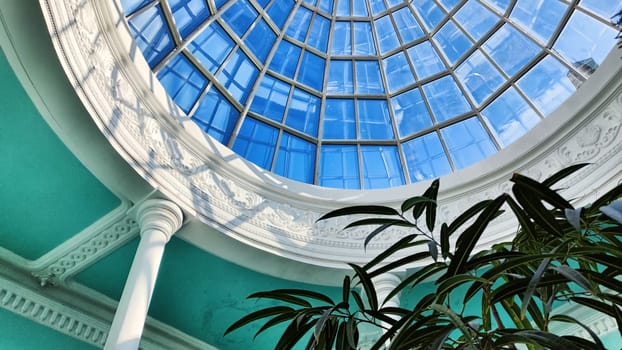 beautiful hall with plants under the sunlight. Winter garden with greenery and home flowers in a room with stairs, columns and glass dome