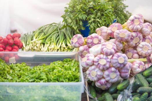 Fresh vegetables on the market. Garlic lies next to other vegetables. Growing season for vegetables sold in the market. Small business. Small business