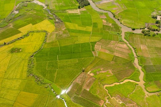 Aerial view of Agricultural lands and rice fields in rural areas. Philippines.
