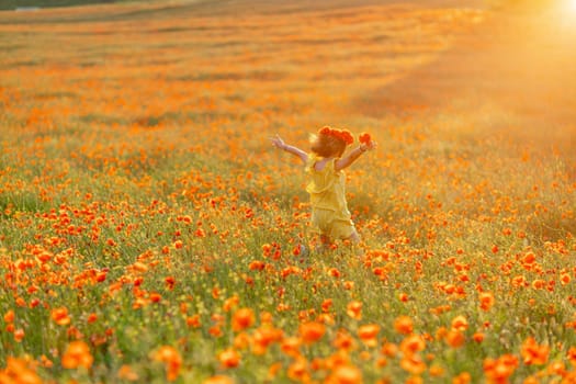 Happy girl poppy field walks under the evening sun. Back view.