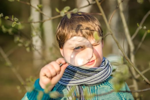 A funny boy walks through the spring park, examines the leaves with a large magnifying glass, looks for bugs and enjoys. A happy child. Portrait