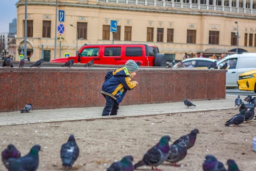 2023-04-09. Moscow, Russia. A boy is hunting and trying to catch street pigeons in Moscow. Birds, pigeons, chase