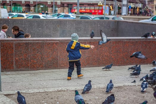 2023-04-09. Moscow, Russia. A boy is hunting and trying to catch street pigeons in Moscow. Birds, pigeons, chase