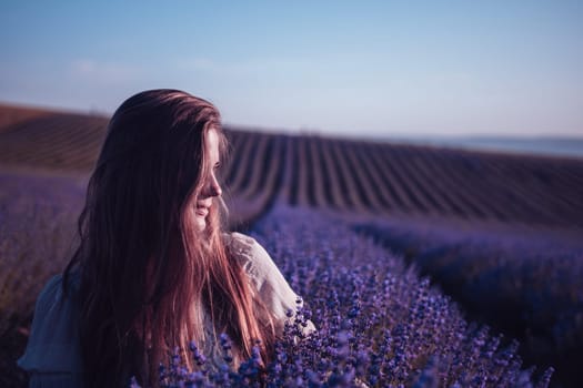 Lavender flower blooming scented fields in endless rows. Selective focus on Bushes of lavender purple aromatic flowers at lavender field. Abstract blur for background.