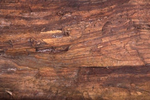 texture of wood use as natural background