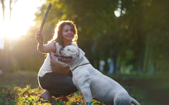 A beautiful woman is walking in a city park with her American Bulldog breed dog.