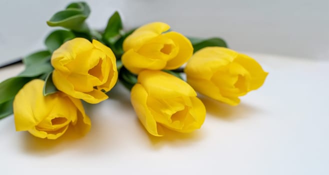 Bouquet of yellow tulips isolated on white background with clipping path. Valentine's Day and Mother's Day background